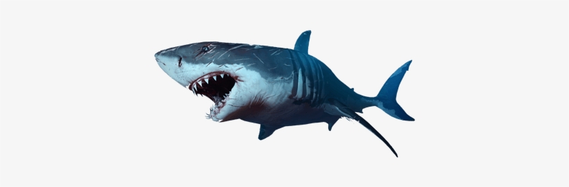 Image Royalty Free Download Png Stickpng - Shark Png, transparent png download