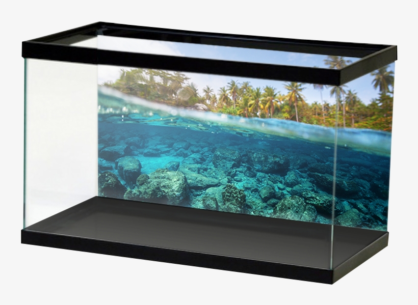 Aquariumvinyl Rockywatersurface, transparent png download