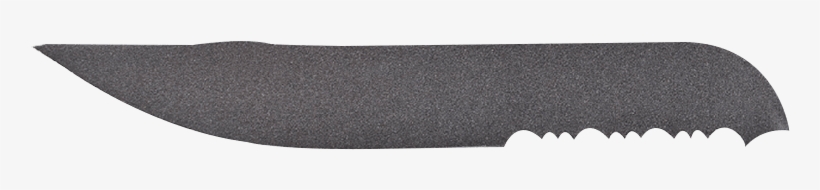 Brush, transparent png download