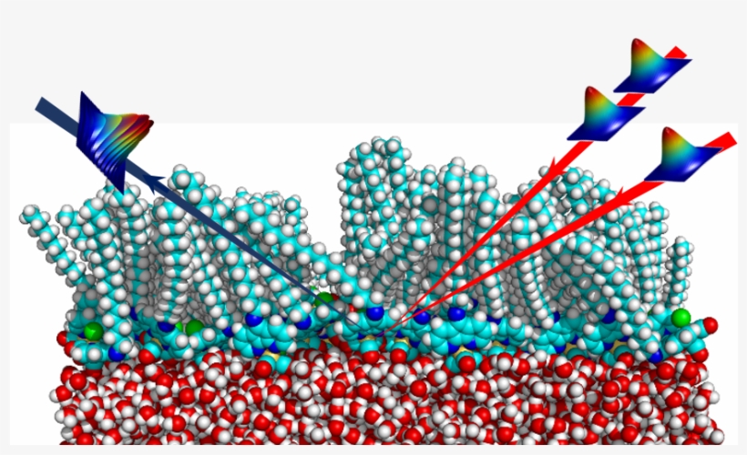 Approximately 70% Of The Earth's Surface Is The Air/water - Molecular Dynamics Of Protein At Air Water Interface, transparent png download