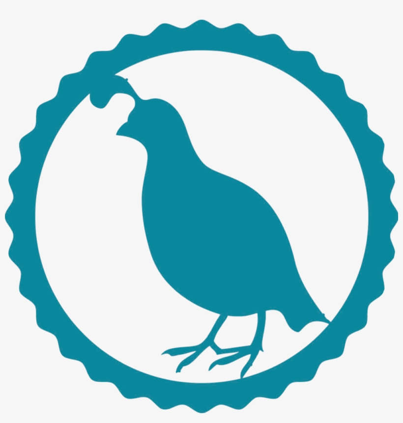 Cute Turkey Png, transparent png download