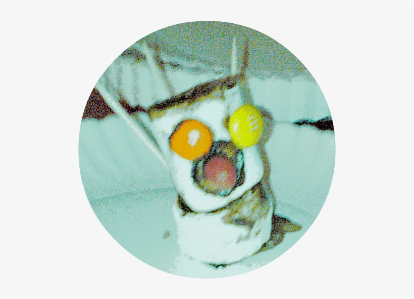 Thanksgiving Turkey Marshmallow Activity For Your Holiday - Circle, transparent png download
