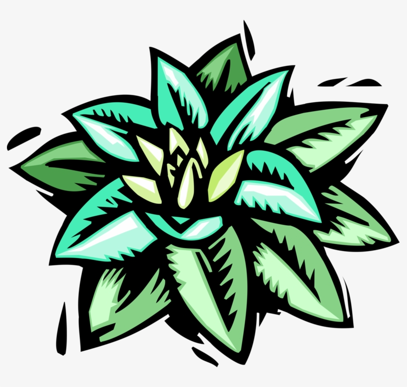 Vector Illustration Of Water Lily Aquatic Plant With, transparent png download