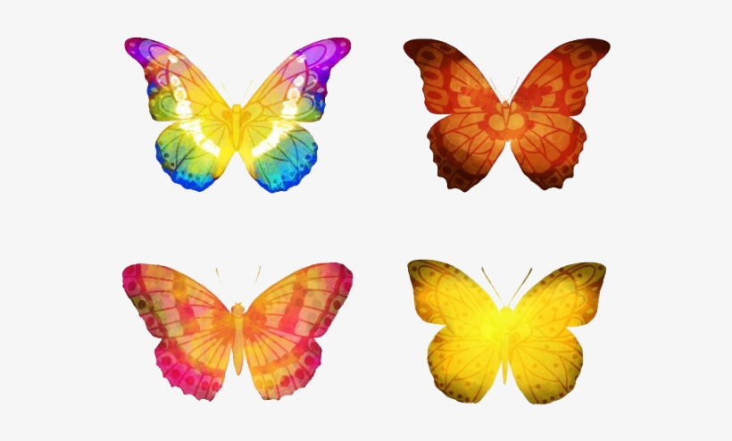 Butterflies Vector Png Hd - Butterfly Vector Hd Png, transparent png download