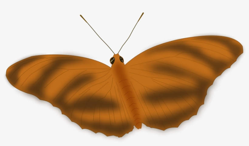 An Ethereal Butterfly Free Vector - Butterfly, transparent png download