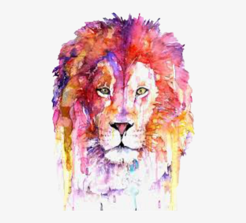 Lion Watercolor Painting, transparent png download