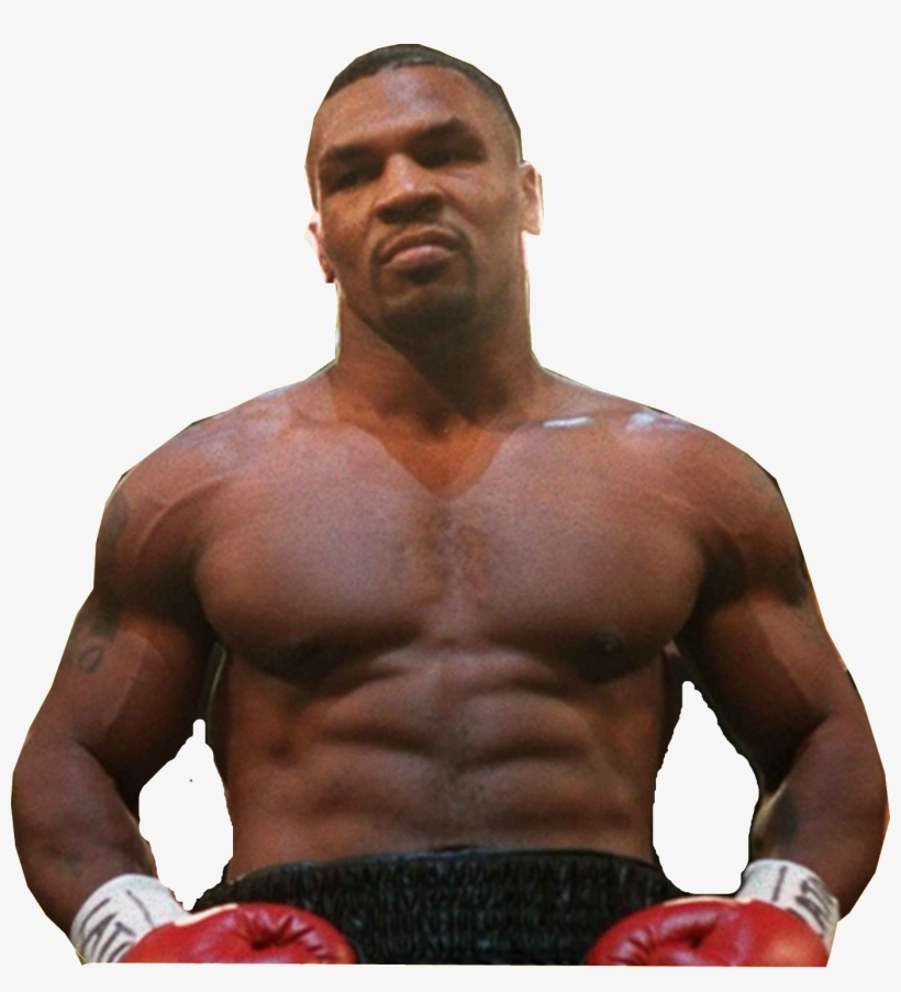 Facing Tyson: Fifteen Fighters, Fifteen Stories, transparent png download
