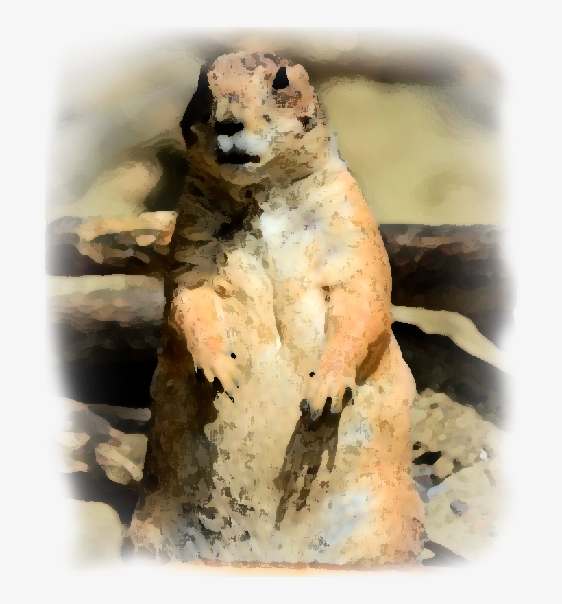 La Población Actual Del Perrito Llanero Es Desconocida - Perrito Llanero Mexicano Dibujo A Color, transparent png download
