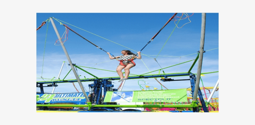 Products/thumbs/tiny 800 356 Bungee2 Large - Bungee Trampoline, transparent png download