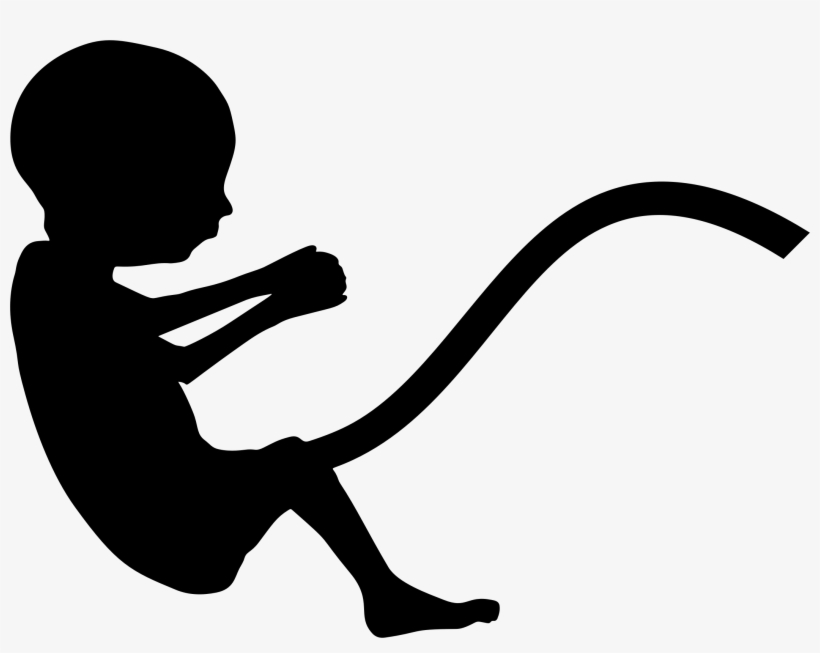 This Free Icons Png Design Of Fetus Silhouette, transparent png download