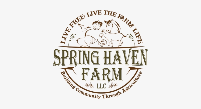 Scc Logo Tile Coaster, transparent png download