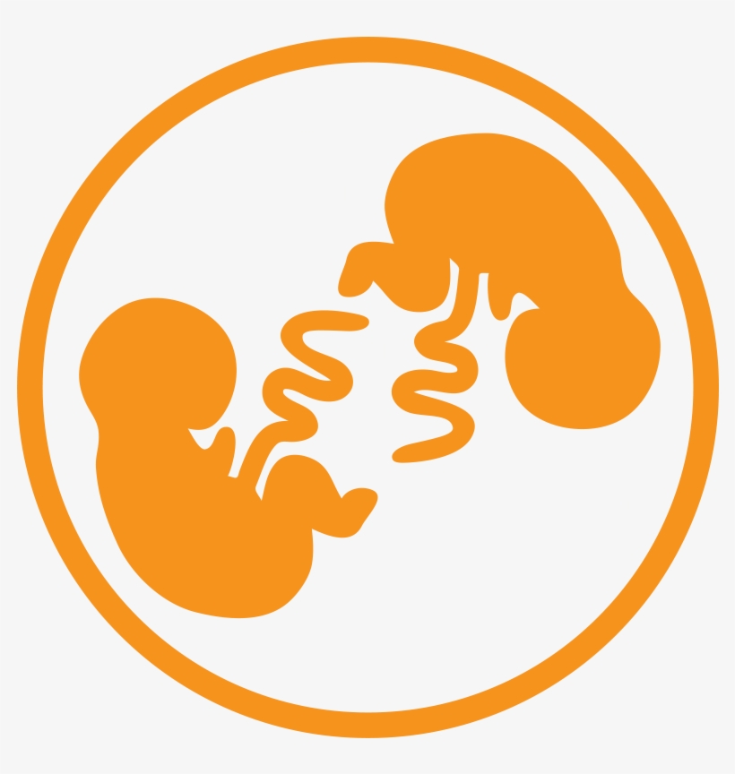 Circle, transparent png download