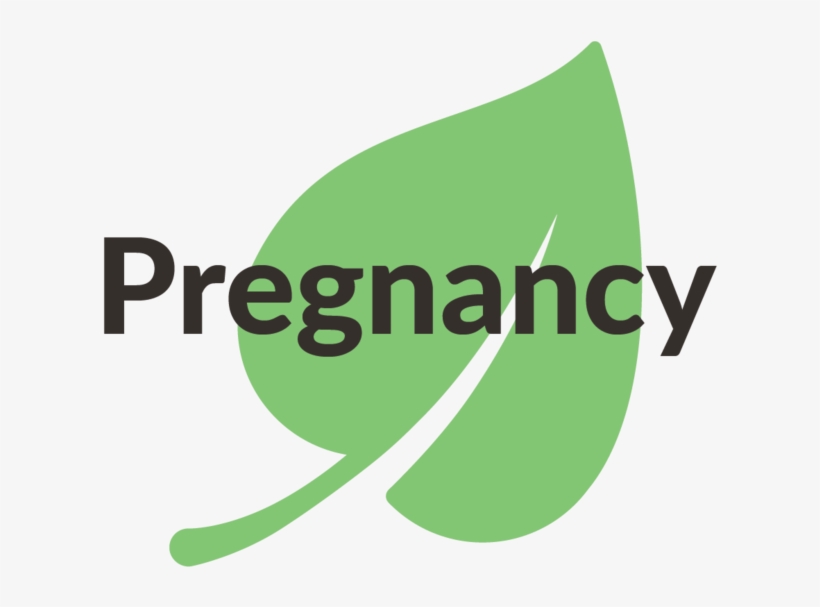 Pregnancy - Magnetic Io, transparent png download