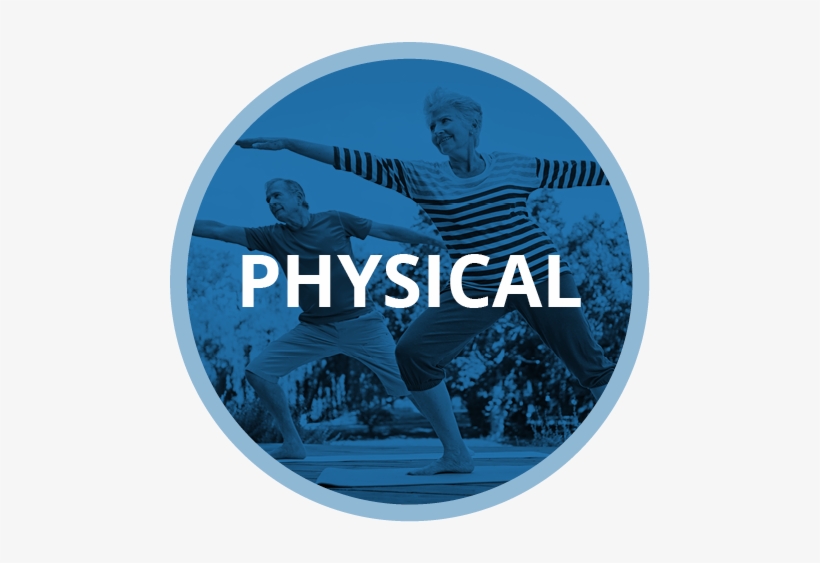 Click On The Circles Below To Jump To Our Physical, - Im A Physical Therapist, transparent png download