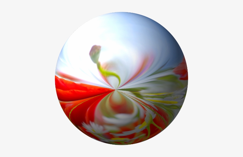 Flower-sphere - Circle, transparent png download