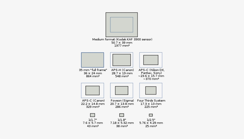 The Sizes Of Sensors Used In Most Current Digital Cameras, - Dslr Sensor Size, transparent png download