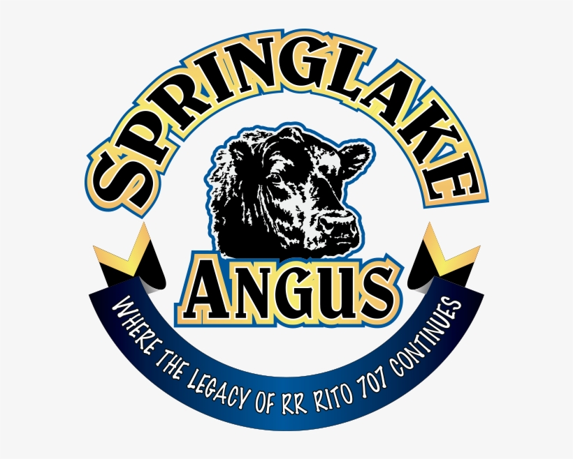 Spring Lake Angus - Sales, transparent png download