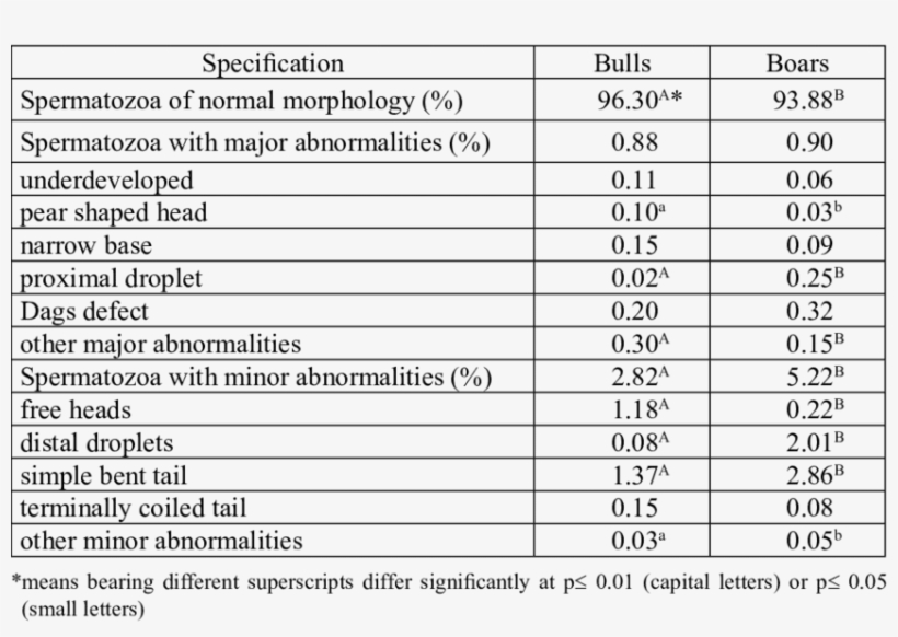 Percentage Of Sperm Abnormalities In Semen Of Bulls - Semen, transparent png download