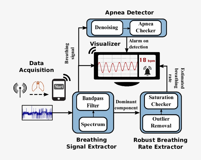 Shows The Fast Fourier Transform For The Wifi Signal - Vital Signs Detector, transparent png download
