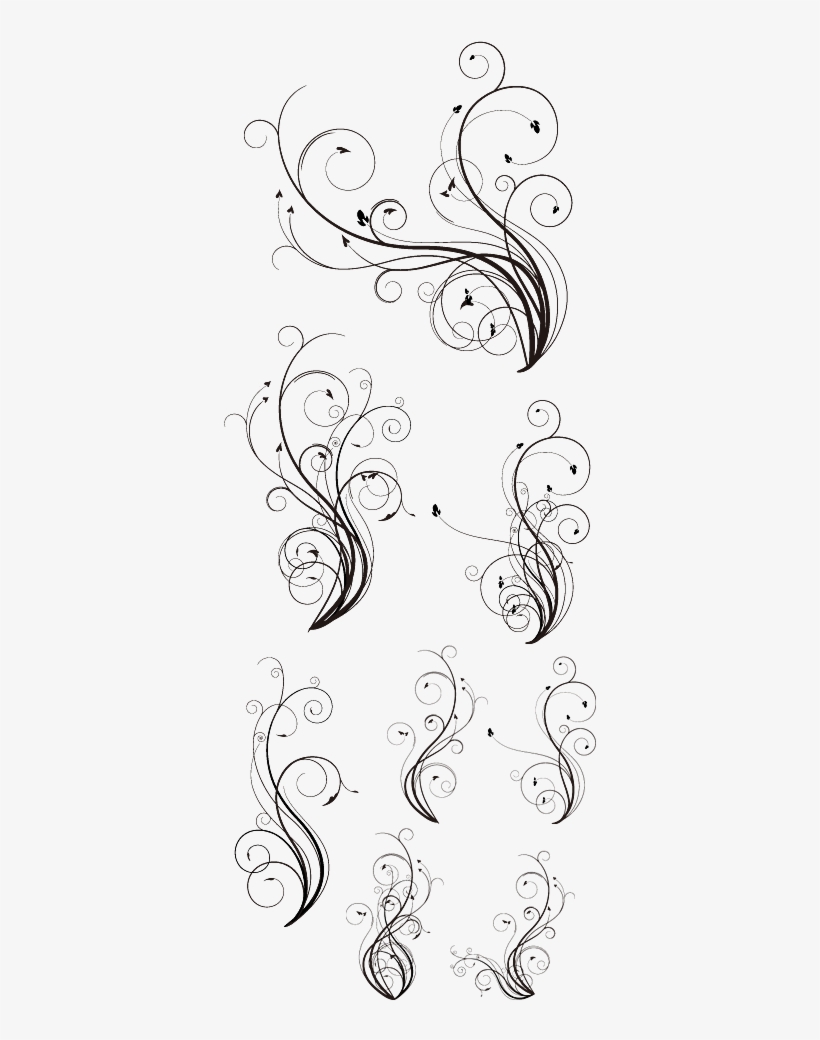 Ornamentos - Decoración - - Vector Flourishes, transparent png download