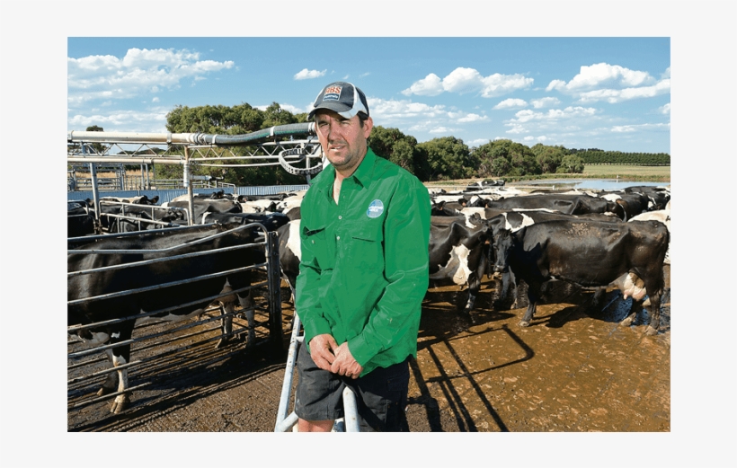 Working Animal, transparent png download