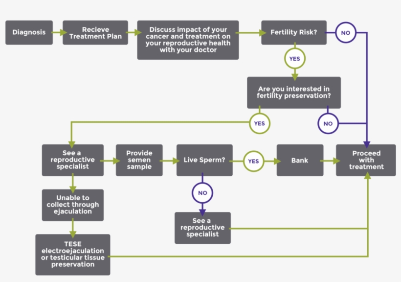 1216 25 Onco Patientmens Proof Feb9 3 - Portable Network Graphics, transparent png download
