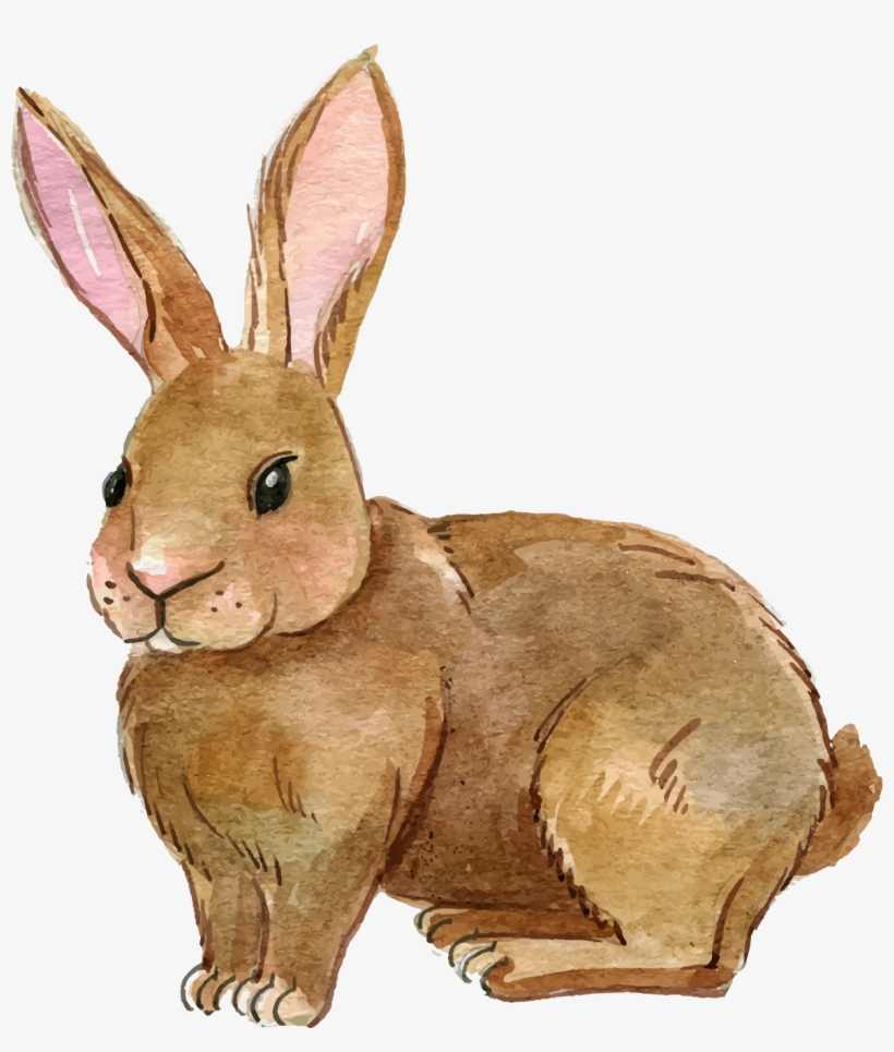 Rabbit Png Transparent
