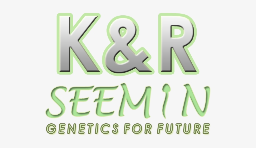 On Demand We Supply Semen For Goats And Sheep Of Different - Chania, transparent png download