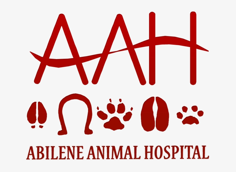 Aahpa - Horse, transparent png download