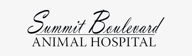 Raymond Briggs The Man, transparent png download