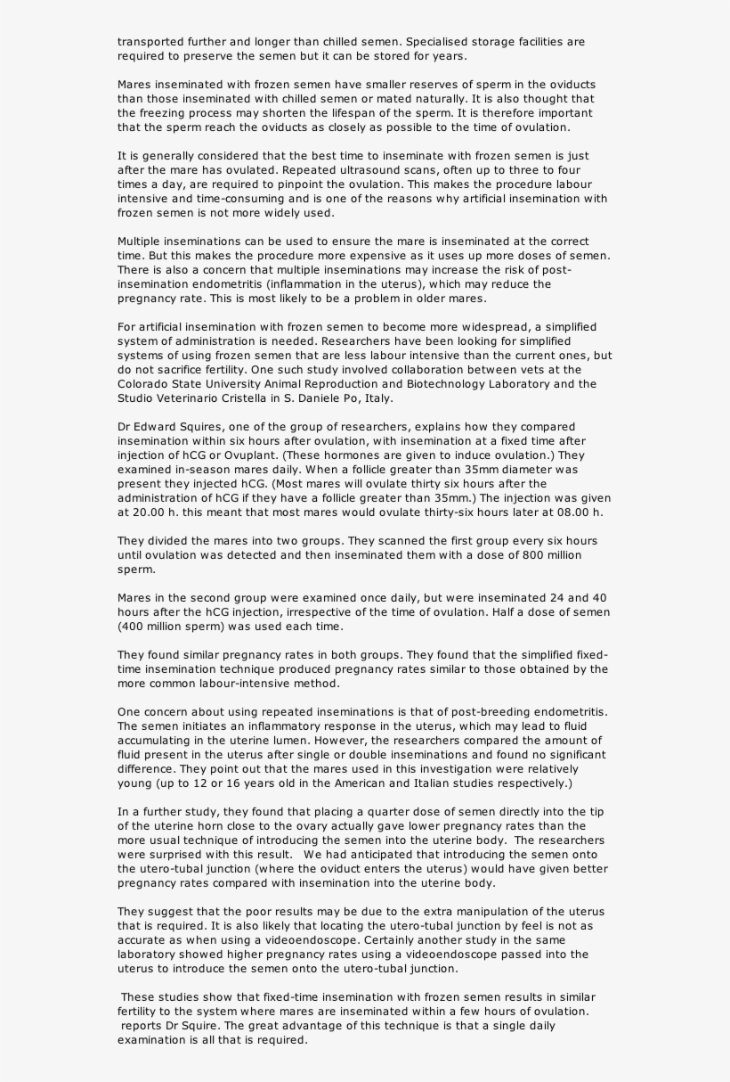 Goose Tower In Vordingborg, Zealand, transparent png download