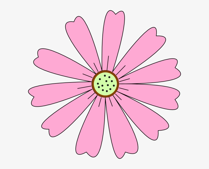 Flower, transparent png download