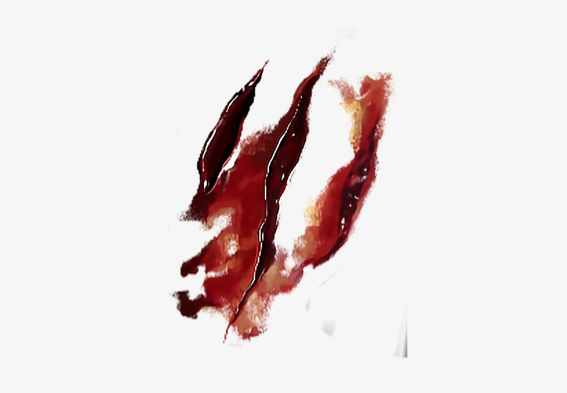 Report Abuse - Heridas Con Sangre Png, transparent png download