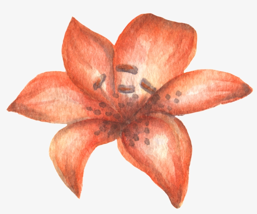 Transparente Png Ornamental Para La Sangre De Cártamo - Watercolor Painting, transparent png download