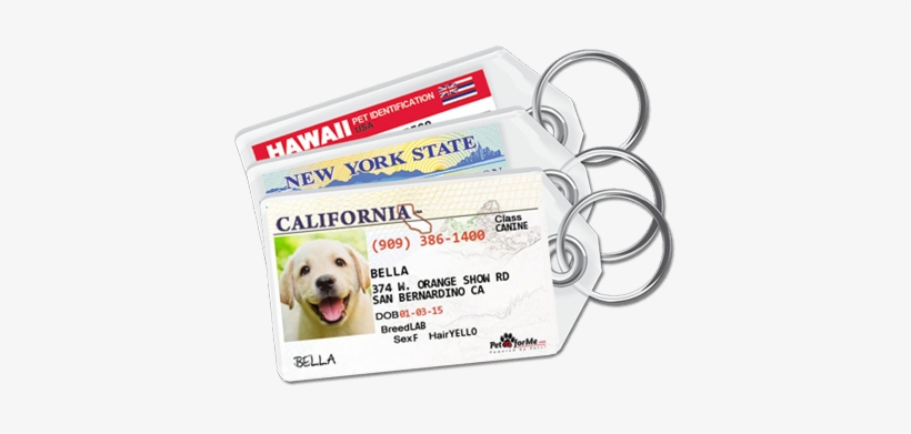 Peter Cafe Golden Retriever Dog Cosmetic Bag Multi, transparent png download