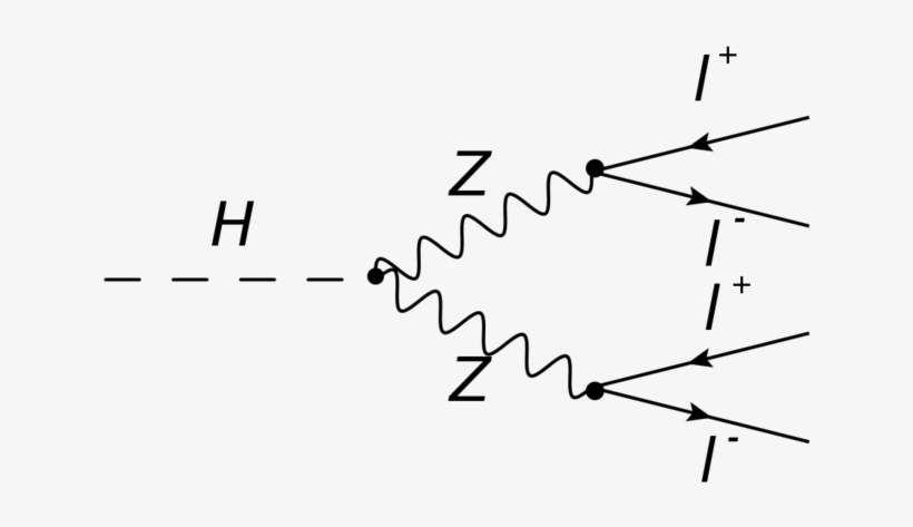 When A Particle Decays, It Transforms Into Other Particles - Higgs To Four Leptons, transparent png download