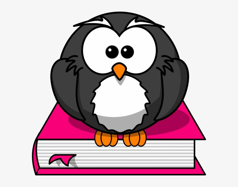 Owl Book Clip Art - Cartoon Owl Shower Curtain, transparent png download