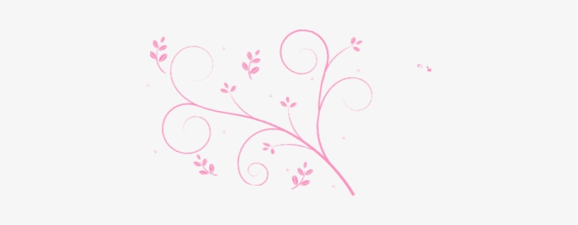 Allotment Cooks: A-z Recipe Book [book], transparent png download