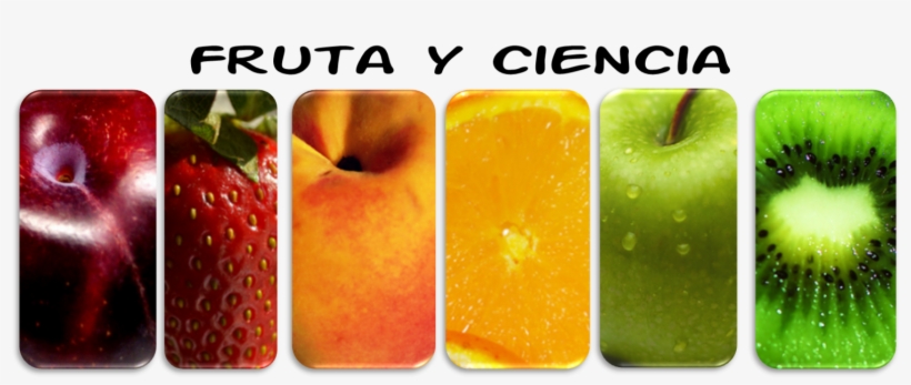 La Ciencia Detrás De Las Frutas - Pardeamiento Enzimatico De Frutas, transparent png download