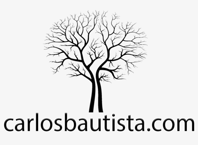Carlos Bautista Photography - Free Vector Images Trees, transparent png download