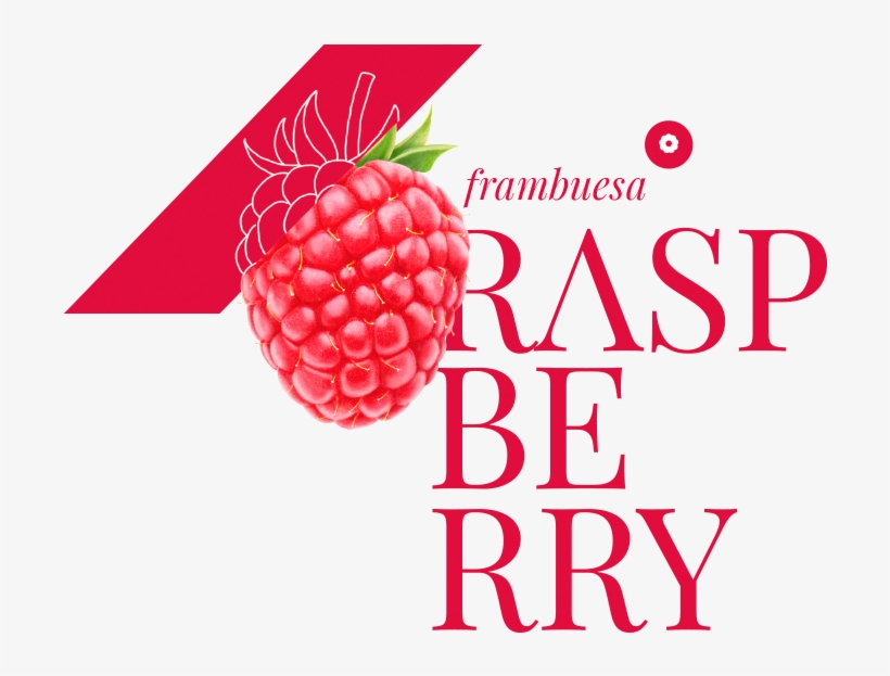 Himbeere Runder Magnet 5,7 Cm, transparent png download