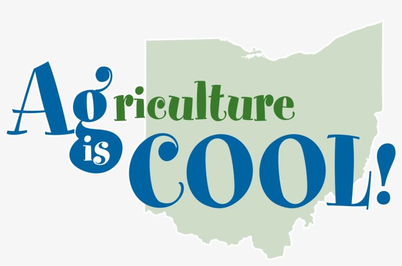 Ag Is Cool Scholarship Winners Announced - Personalizable Future Mrs. Ornament (round), transparent png download