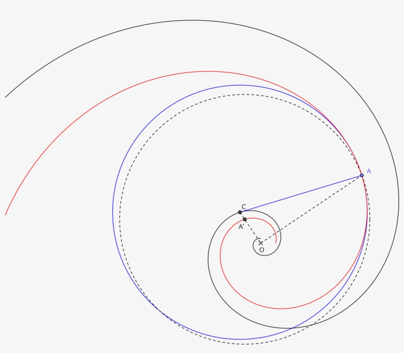 Enter Image Description Here - Circle, transparent png download