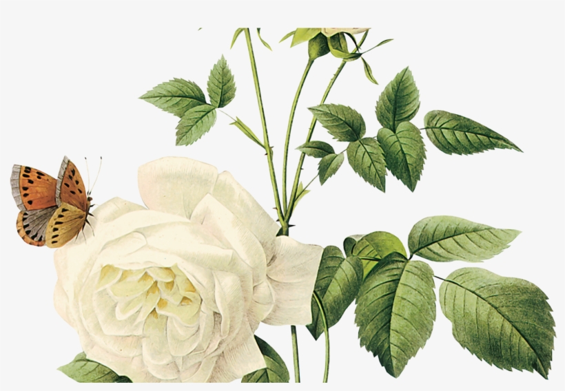 Arrow White Left Arrow Transparent Background Image - White Vintage Flower Png, transparent png download