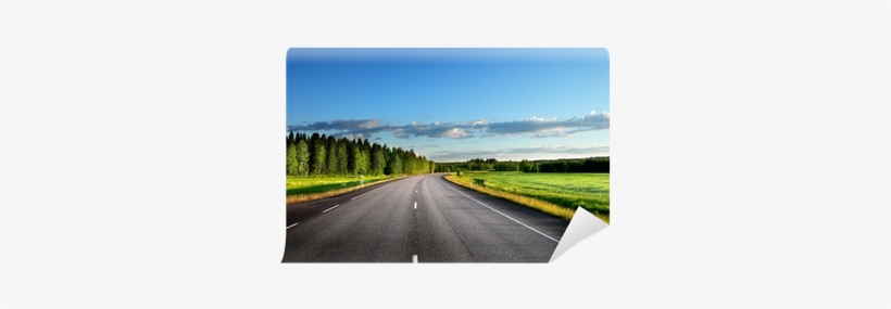 Old Highway 316 [book], transparent png download