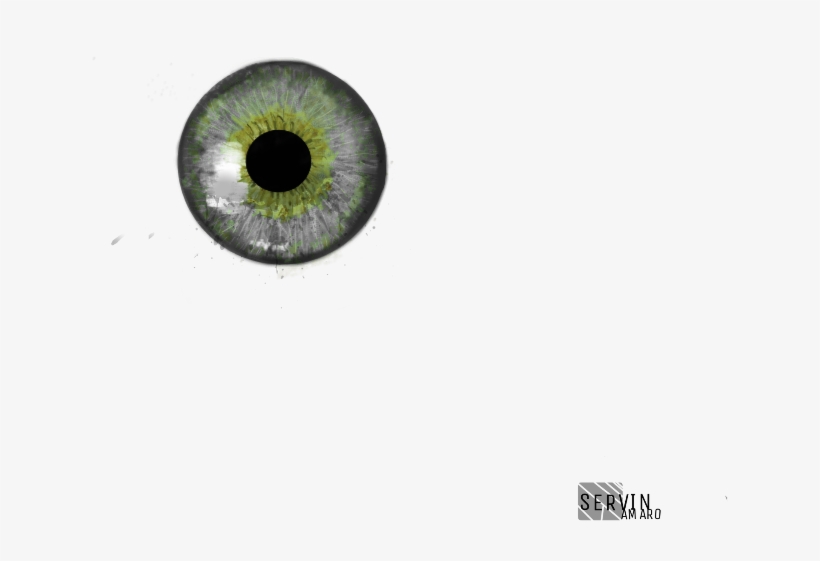 Report Abuse - Eye, transparent png download