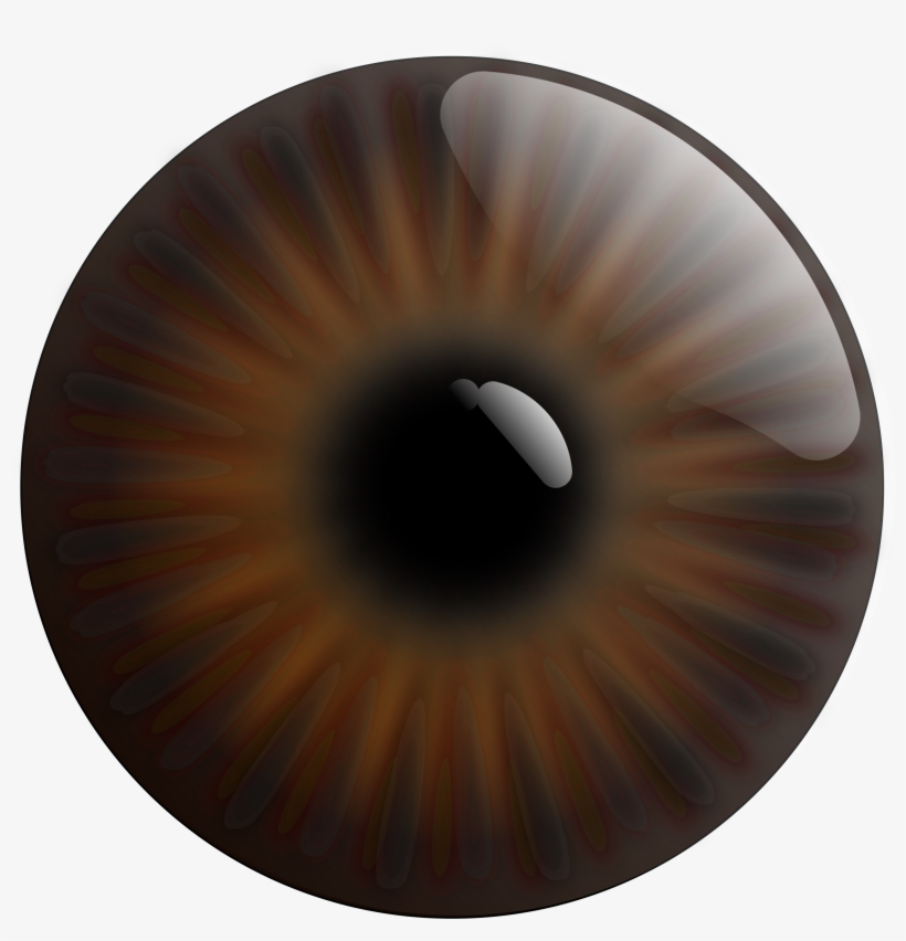 Big Image - Pupil Vector, transparent png download