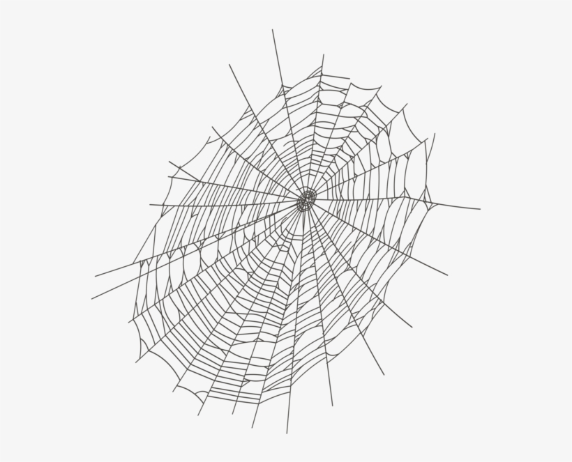 Halloween Large Spider Web Png Clipart - Transparent Spider Web Clipart, transparent png download