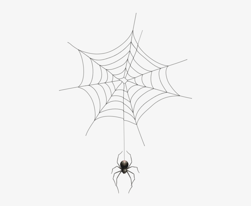 0, - Spider Web, transparent png download