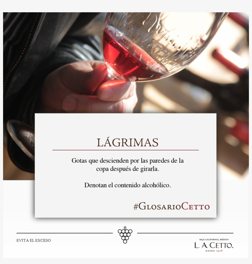 1 Nov - La Cetto, transparent png download